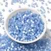 Glass Seed Beads SEED-H002-D-A813-2