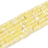 Natural Trochid Shell/Trochus Shell Beads Strands SSHEL-N040-21G-1