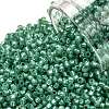 TOHO 11/0 Round Beads X-SEED-TR11-2119-1