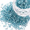 Glass Bugle Beads SEED-S032-08A-23-1