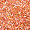 Baking Paint Glass Seed Beads SEED-S042-05B-45-3