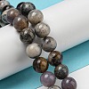 Natural Dendritic Jasper Beads Strands G-R494-A23-03-4
