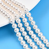 Baking Paint Pearlized Glass Pearl Bead Strands HY-N002-6mm-A11-1