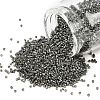 MIYUKI Delica Beads LS-X-SEED-J020-DB2512-1