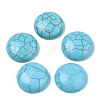 Synthetic Turquoise Cabochons TURQ-S291-03H-01-2