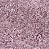 MIYUKI Delica Beads SEED-J020-DB0256-3