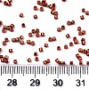 FGB 11/0 Grade A Glass Seed Beads SEED-S030-1210-4