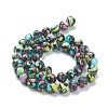 Assembled Natural & Dyed Magnesite Beads G-L575-02B-3