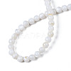 Natural Freshwater Shell Beads Strands X-BSHE-T009B-01A-2