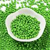 Baking Paint Glass Seed Beads SEED-H002-I-A510-2