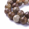 Natural Petrified Wood Beads Strands G-P430-16-D-3