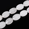 Natural Quartz Crystal Beads Strands G-S354-13x18-A10-2