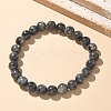 Natural Larvikite Bead Stretch Bracelets BJEW-K212-B-046-2