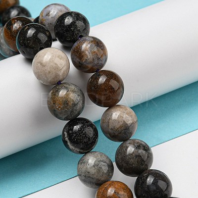 Natural Dendritic Jasper Beads Strands G-R494-A23-04-1