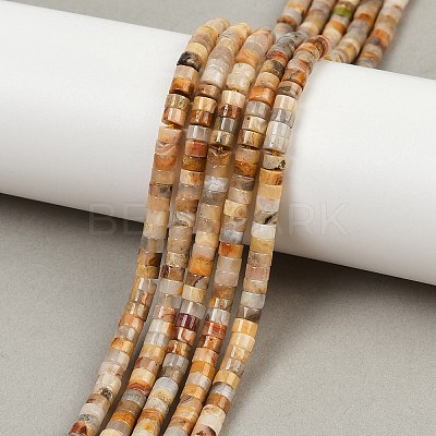 Natural Crazy Agate Beads Strands G-H230-82-1