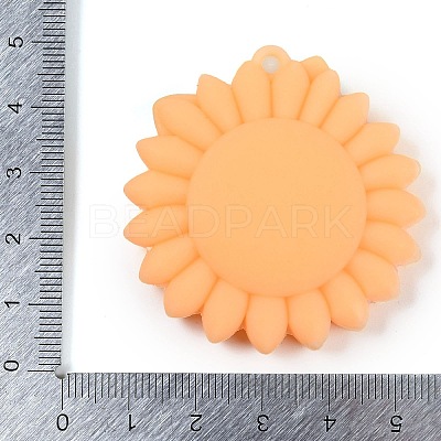 PVC Plastic Pendants KY-U004-03A-1