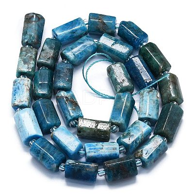 Natural Blue Apatite Beads Strands G-K245-I07-01-1