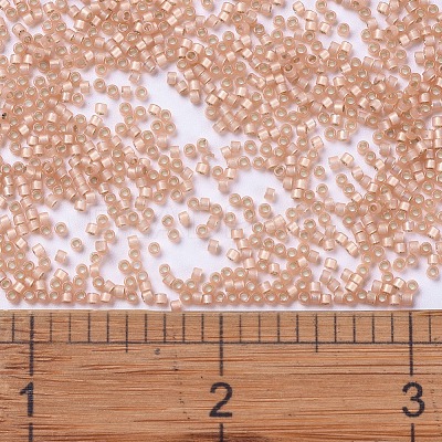 MIYUKI Delica Beads SEED-J020-DB0622-1