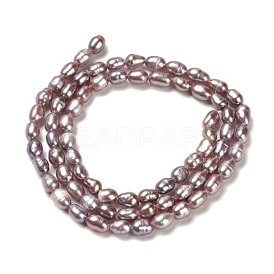 Natural Cultured Freshwater Pearl Beads Strands PEAR-E016-148-1