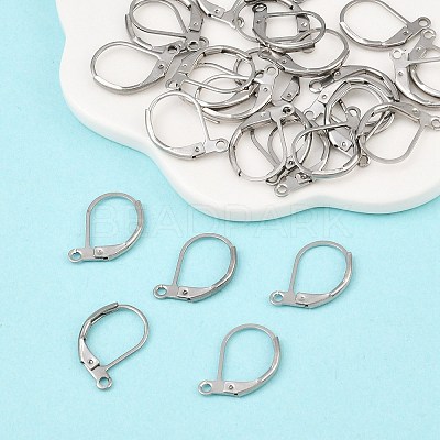 Tarnish Resistant France Earring Hoop STAS-N060-02-1