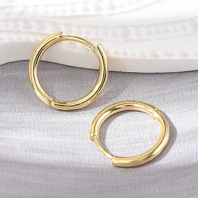 Brass Huggie Hoop Earrings LS-KK-D160-55G-1