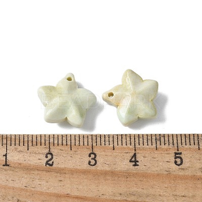 Natural Rainbow Alashan Agate Charms G-G194-02C-1