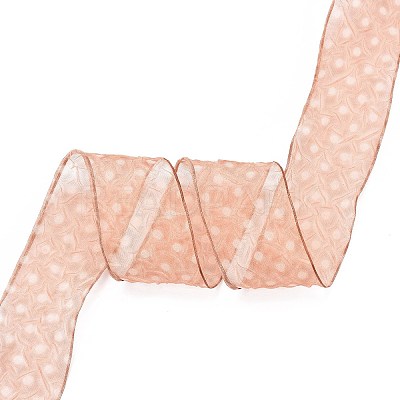 20 Yards Polyester Mesh Ribbon SRIB-P021-E03-1