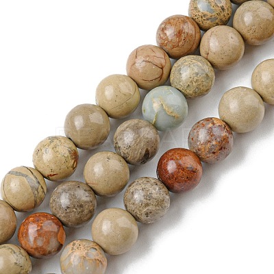 Natural Aqua Terra Jasper Beads Strands G-E444-14B-10mm-1