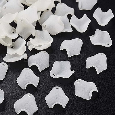 Transparent Acrylic Beads X-MACR-S373-106-D07-1