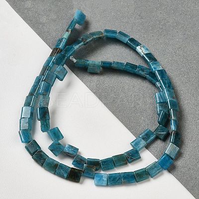 Natural Apatite Beads Strands G-F762-A19-01-1