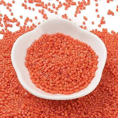 Baking Paint Glass Seed Beads SEED-S042-05B-84-1