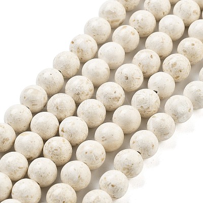 Natural Fossil Beads Strands G-H026-02A-1