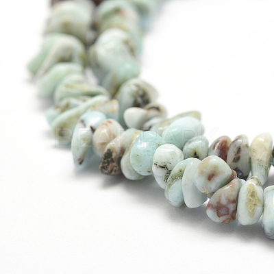Natural Larimar Beads Strands X-G-P302-03-1
