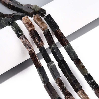 Natural Biotite Beads Strands G-T141-103-1