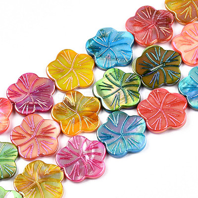 Natural Freshwater Shell Beads Strands SHEL-N026-221A-1