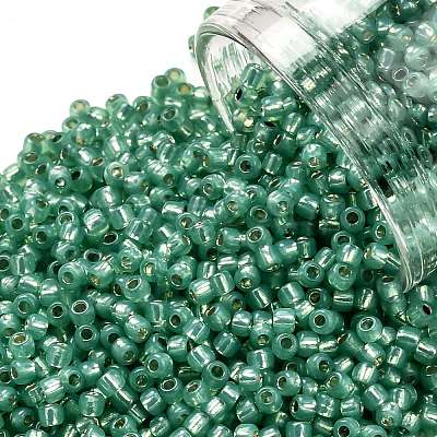 TOHO 11/0 Round Beads X-SEED-TR11-2119-1