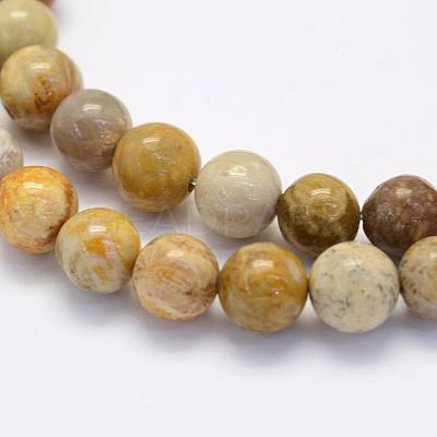 Natural Fossil Coral Beads Strands G-G697-F01-6mm-1