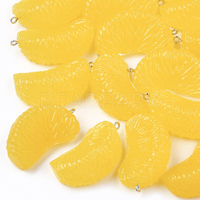 Resin Pendants X-RESI-T028-25B-1