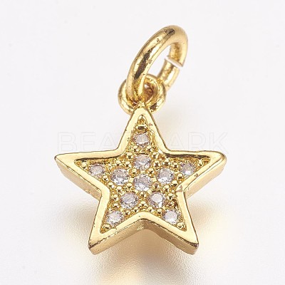 Brass Micro Pave Cubic Zirconia Charms LS-ZIRC-G087-35G-1