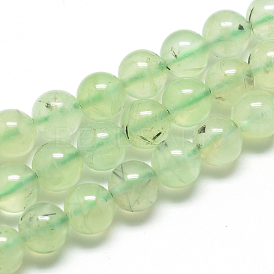 Natural Prehnite Beads Strands G-S263-6mm-04-1