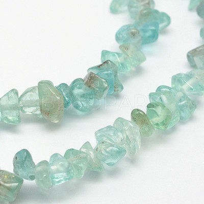 Chips Natural Apatite Beads Strands X-G-N0164-44-1