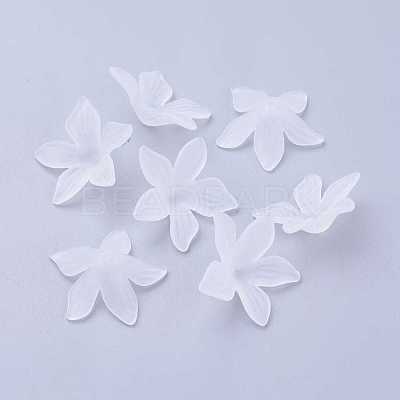 Clear Frosted Acrylic Flower Beads X-PL594-11-1