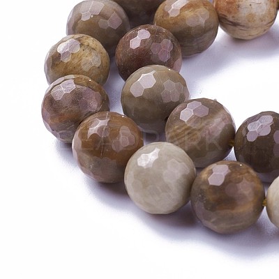 Natural Petrified Wood Beads Strands G-P430-16-D-1