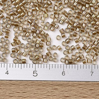 MIYUKI Delica Beads SEED-MY11-DB2396-1