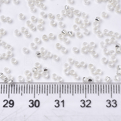 Glass Seed Beads SEED-S042-04A-06-1