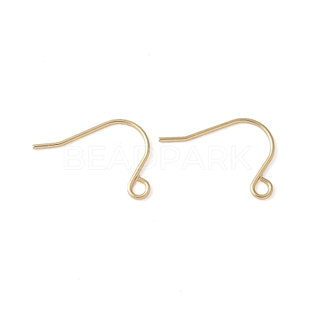 316 Surgical Stainless Steel Earring Hooks STAS-Z124-02C-G-1