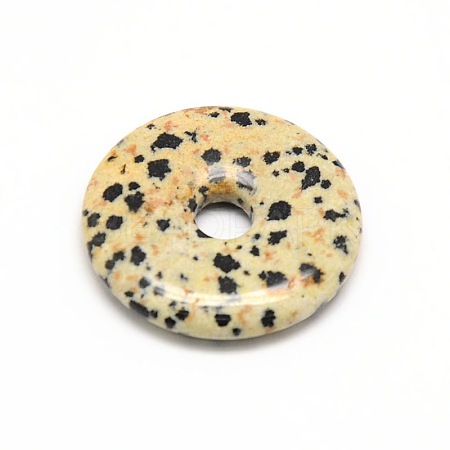 Donut/Pi Disc Natural Gemstone Pendants G-L234-40mm-07-1