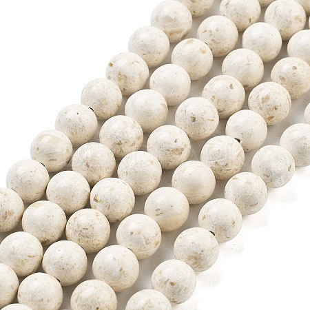 Natural Fossil Beads Strands G-H026-02A-1