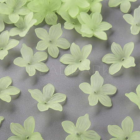Frosted Acrylic Bead Caps MACR-S371-05A-728-1