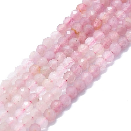 Natural Tourmaline Beads Strands G-P457-A02-14H-1